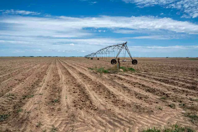 a view of a dry yard with wooden floor and fence