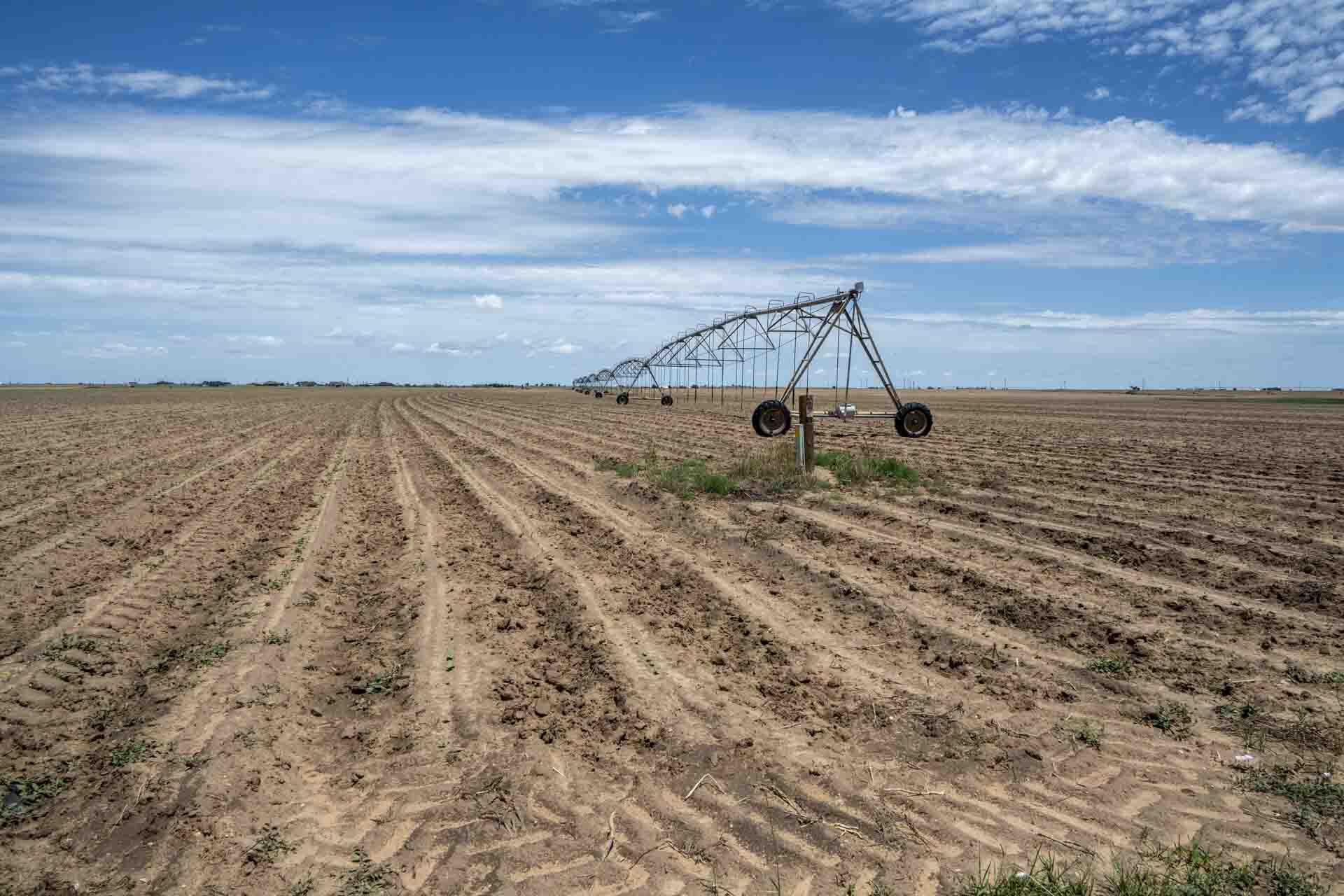 a view of a dry yard with wooden floor and fence