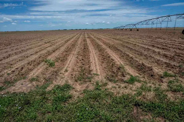 $1,719,140 | 1730 South Slide Road, New Home, TX 79381