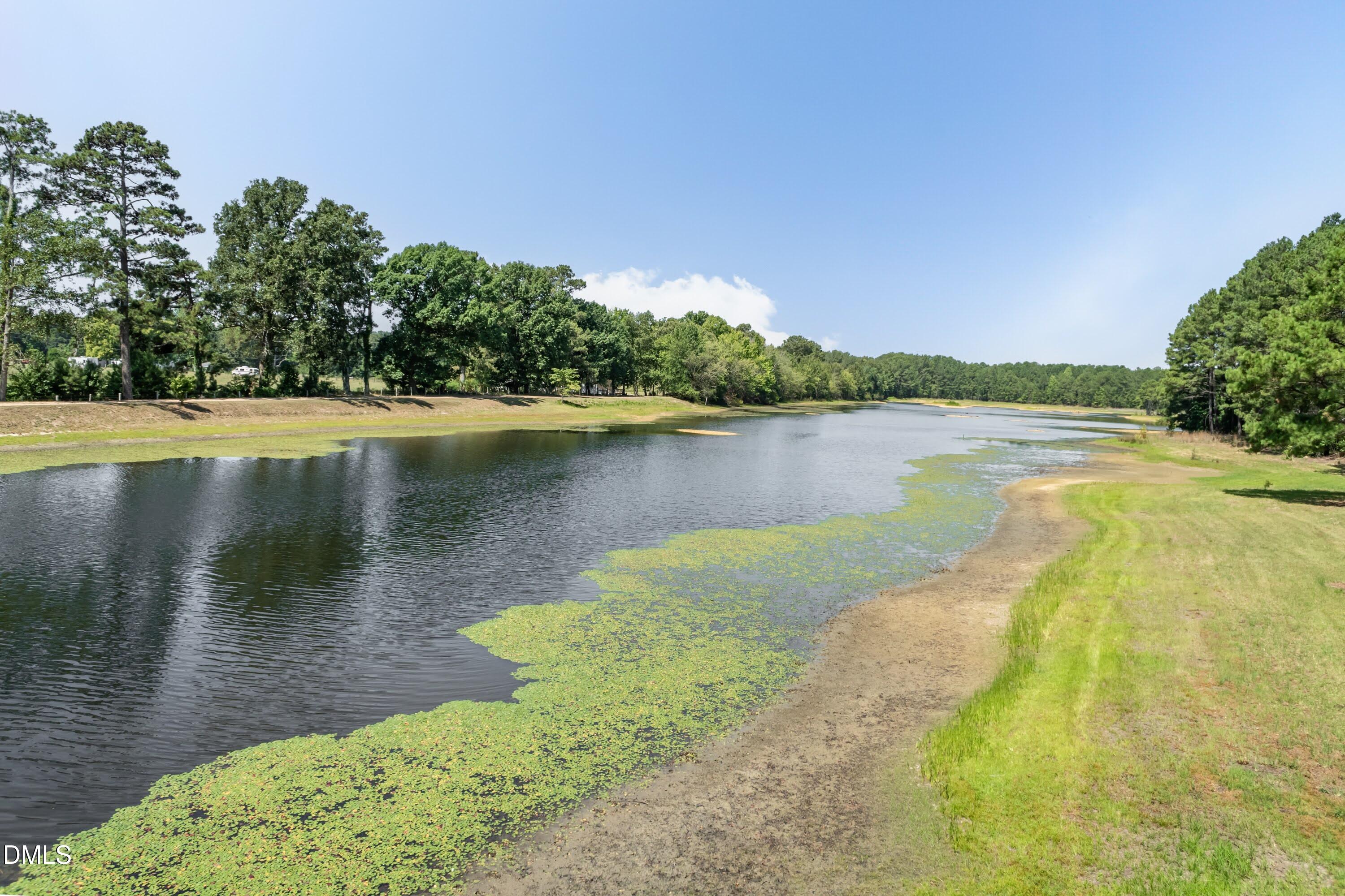 3715 South River Road Lillington, NC 27546 - Photo 39 of 91 Pond 01