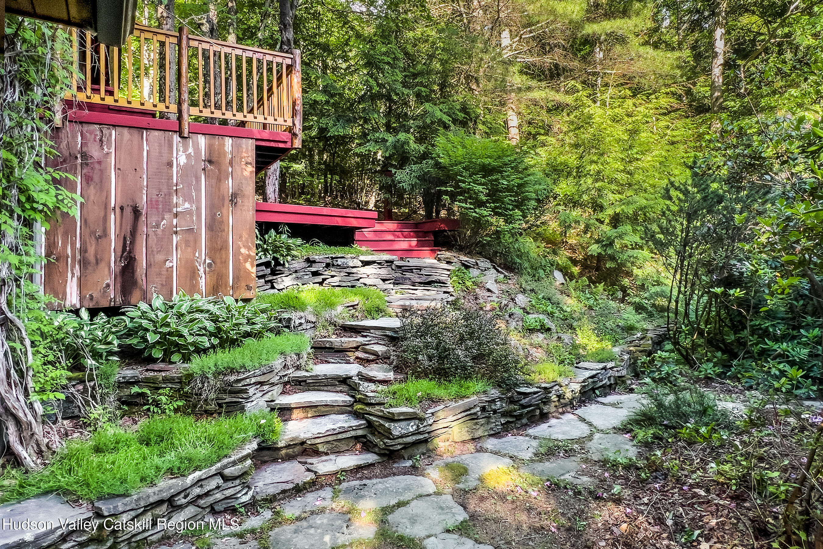 135 Sparrowhawk Lake Road Schenevus, NY 12155 - Photo 8 of 71 007 - Natural Landscaping - 135 Sparrowh