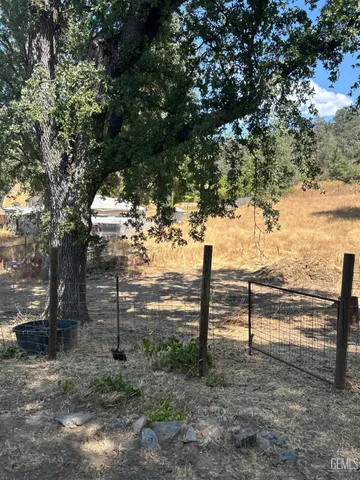 a view of a yard with a tree