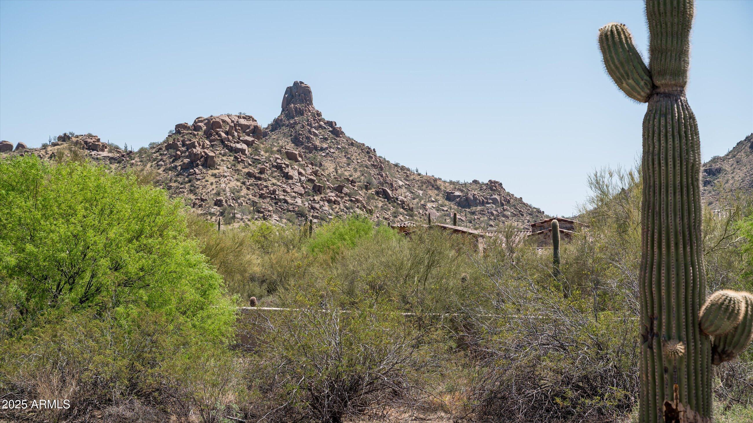 9804 East Running Deer Trail, Unit 1 Scottsdale, AZ 85262 - Photo 11 of 11 a view of a forest