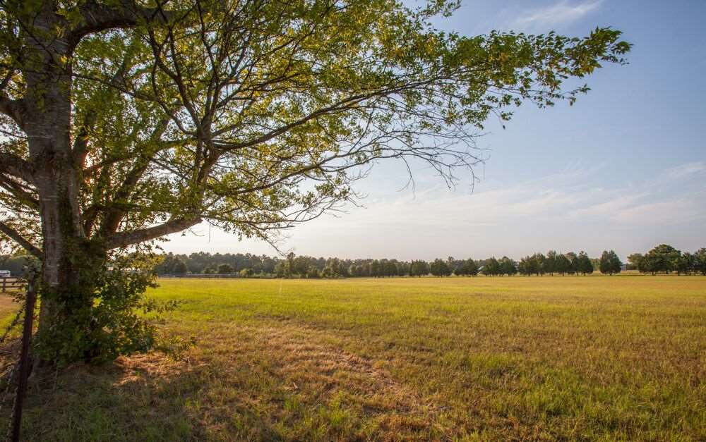 1631 North Old Canton Road Canton, MS 39046 - Photo 3 of 49 Photo 3