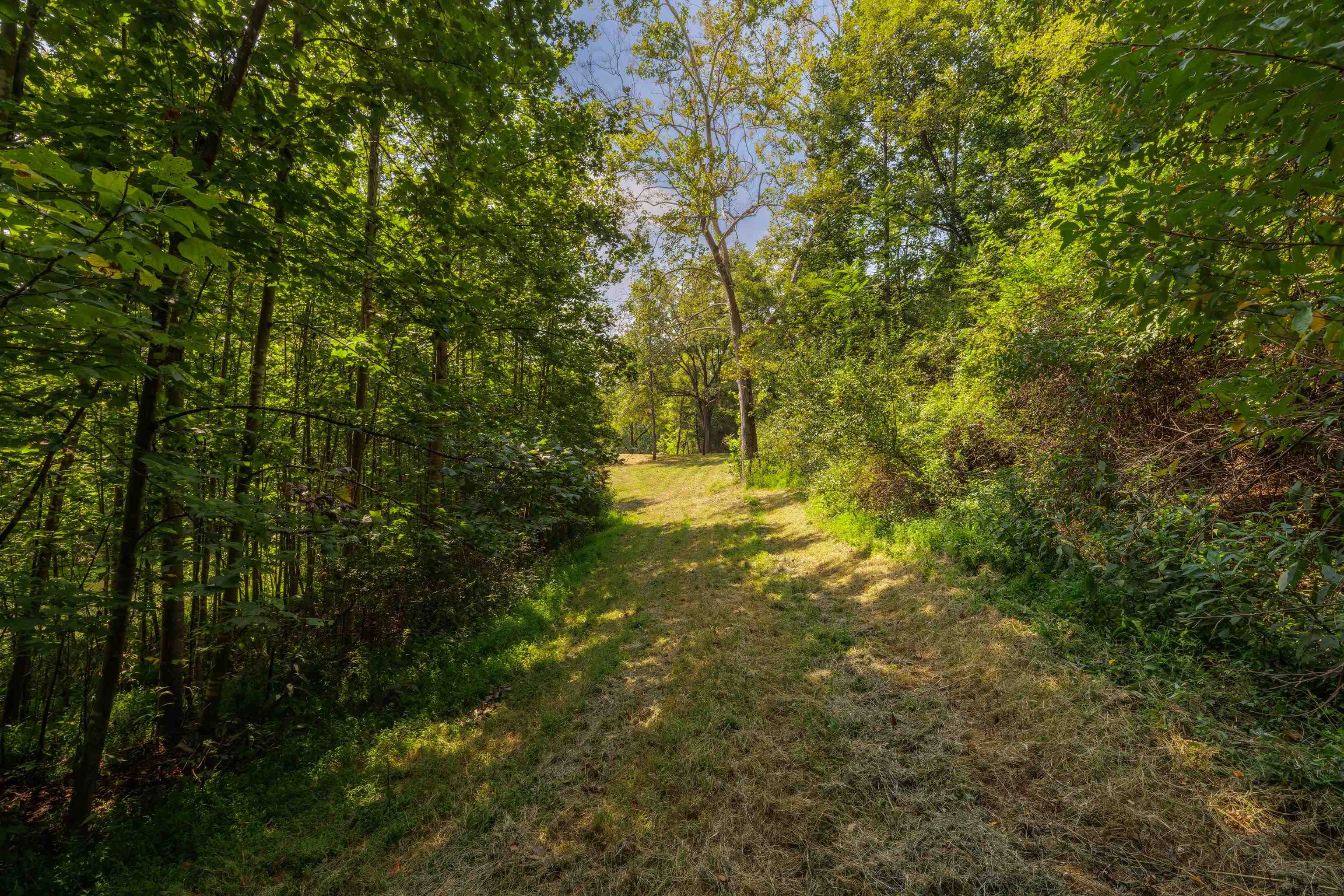 188 Pounding Branch Road Afton, VA 22920 - Photo 26 of 44 Gallery Image 26