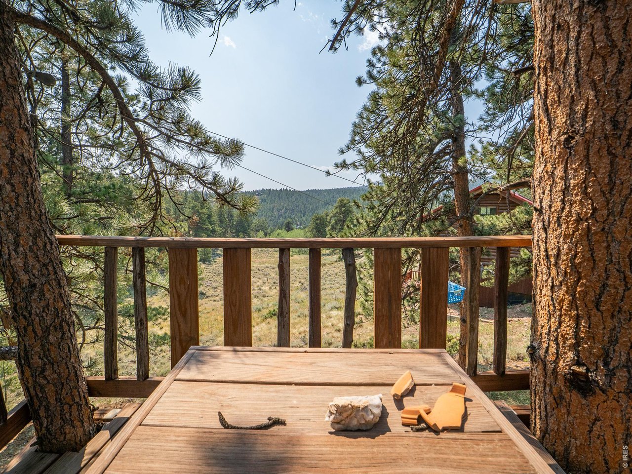 296 Caddo Road Red Feather Lakes, CO 80545 - Photo 43 of 50