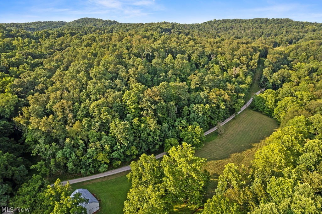 102 Logston Run Road Ravenswood, WV 26164 - Photo 31 of 42 Expansive wooded landscape featuring a winding gravel road and a partially visible structure with a gabled roof