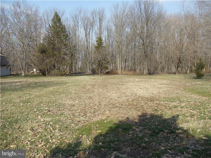 451 Wells Road Doylestown, PA 18901 - Photo 7 of 10 Back Yard