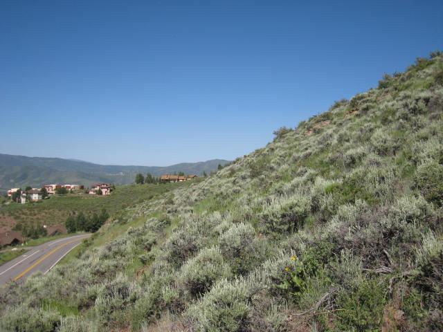 5040 Wildridge Road East Avon, CO 81620 - Photo 4 of 8 Panoramic view shot 1 of 4. Shots begin
