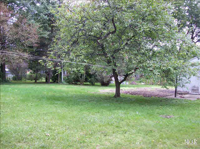 2164 Rauch Road Temperance, MI 48182 - Photo 16 of 18 Beautiful Backyard