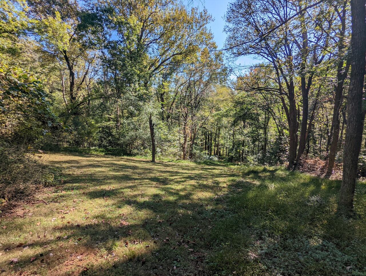 974 Iron Ridge Road Rocky Mount, VA 24151 - Photo 8 of 46 PXL_20231012_190137741