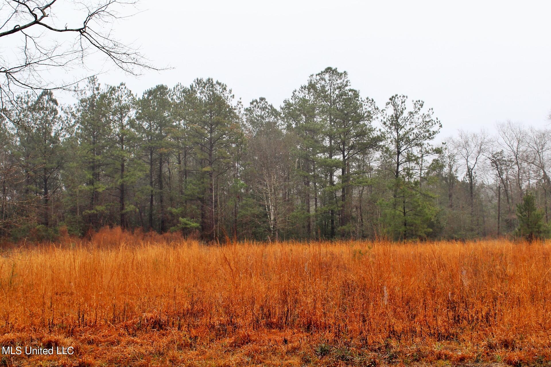 9.7-ac Bexley Road North Lucedale, MS 39452 - Photo 2 of 2 1
