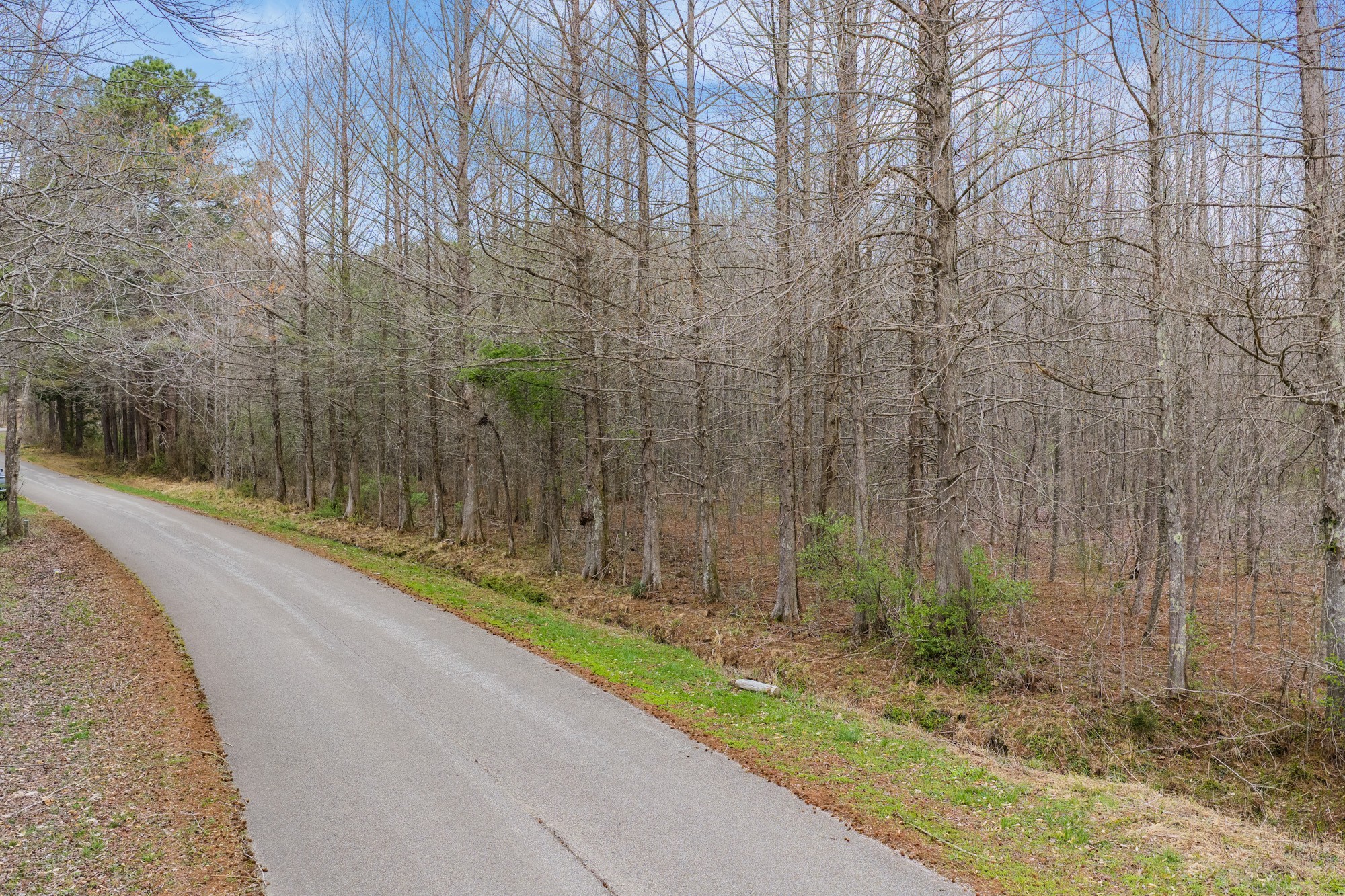 0 Pugh Road Holladay, TN 38341 - Photo 11 of 17