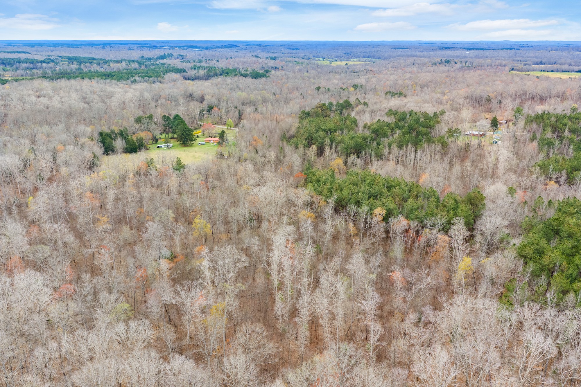 0 Pugh Road Holladay, TN 38341 - Photo 12 of 17