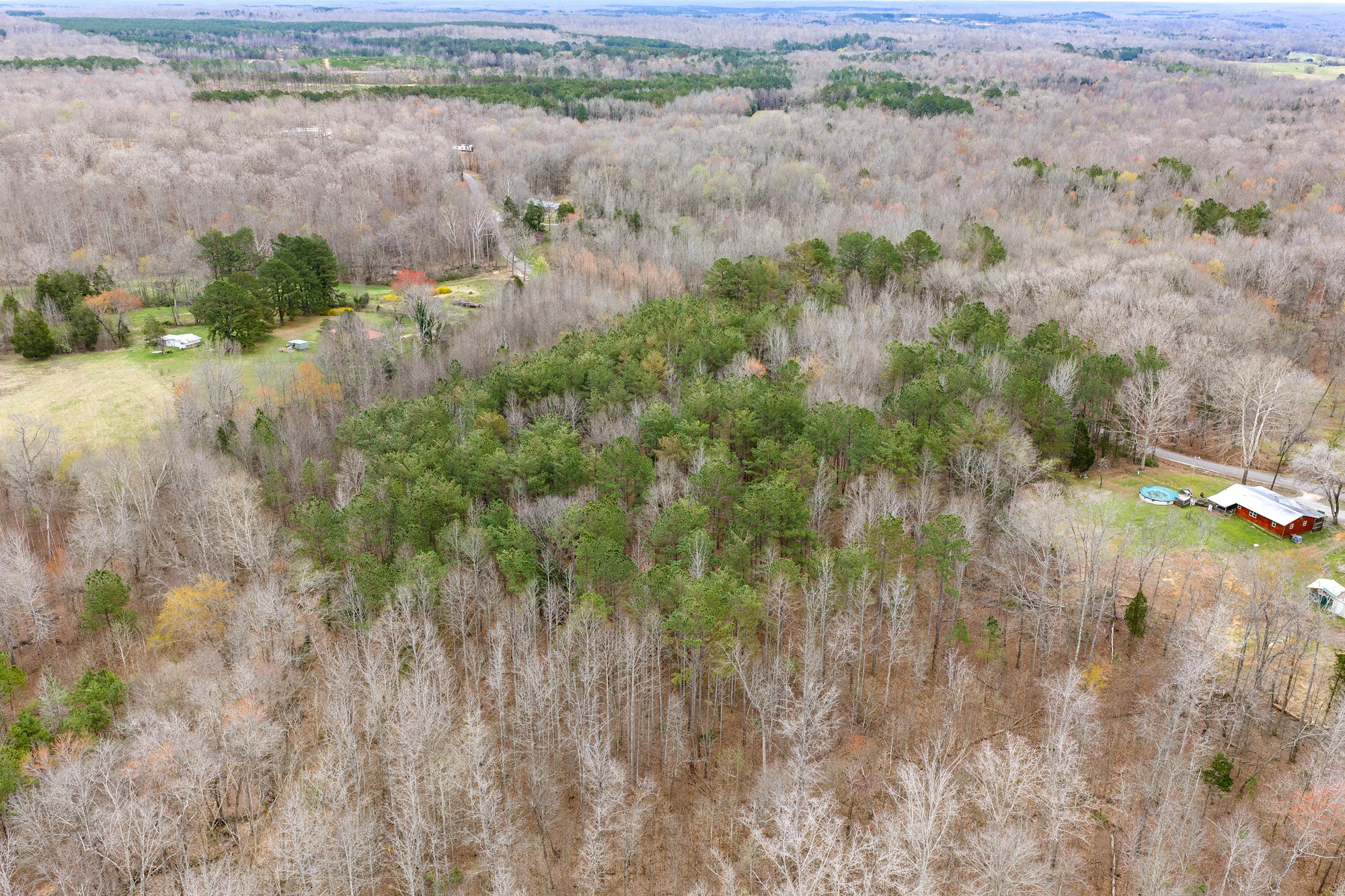 0 Pugh Road Holladay, TN 38341 - Photo 13 of 17