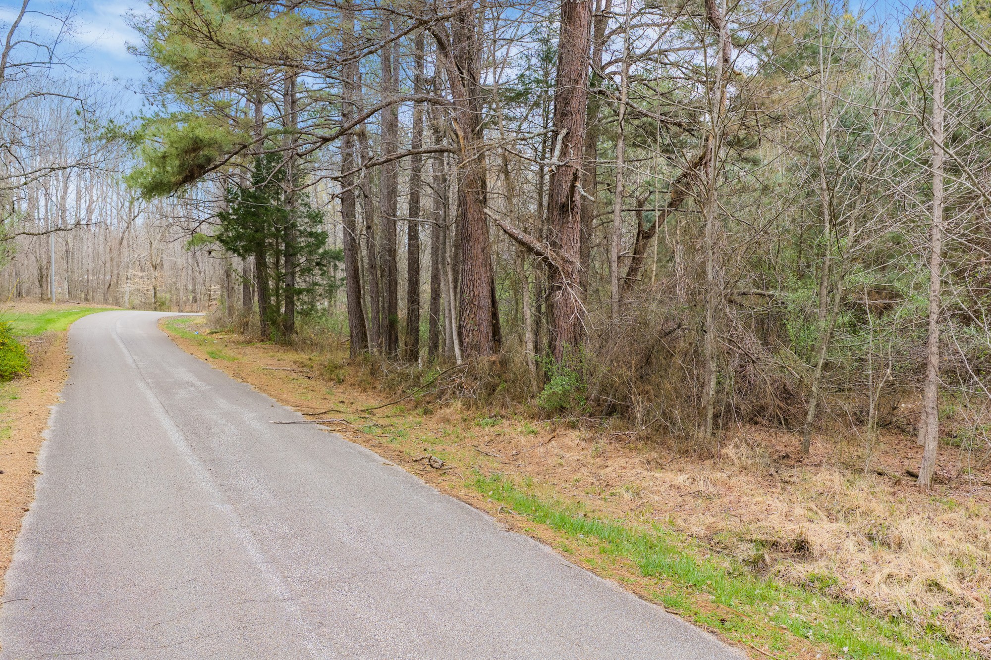 0 Pugh Road Holladay, TN 38341 - Photo 14 of 17