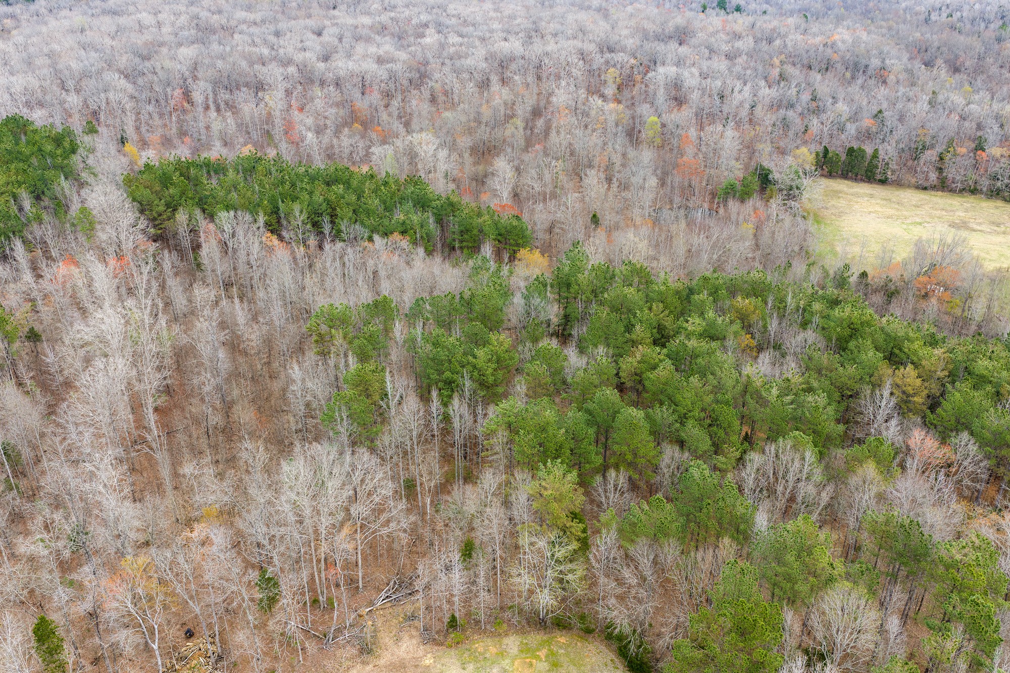 0 Pugh Road Holladay, TN 38341 - Photo 15 of 17