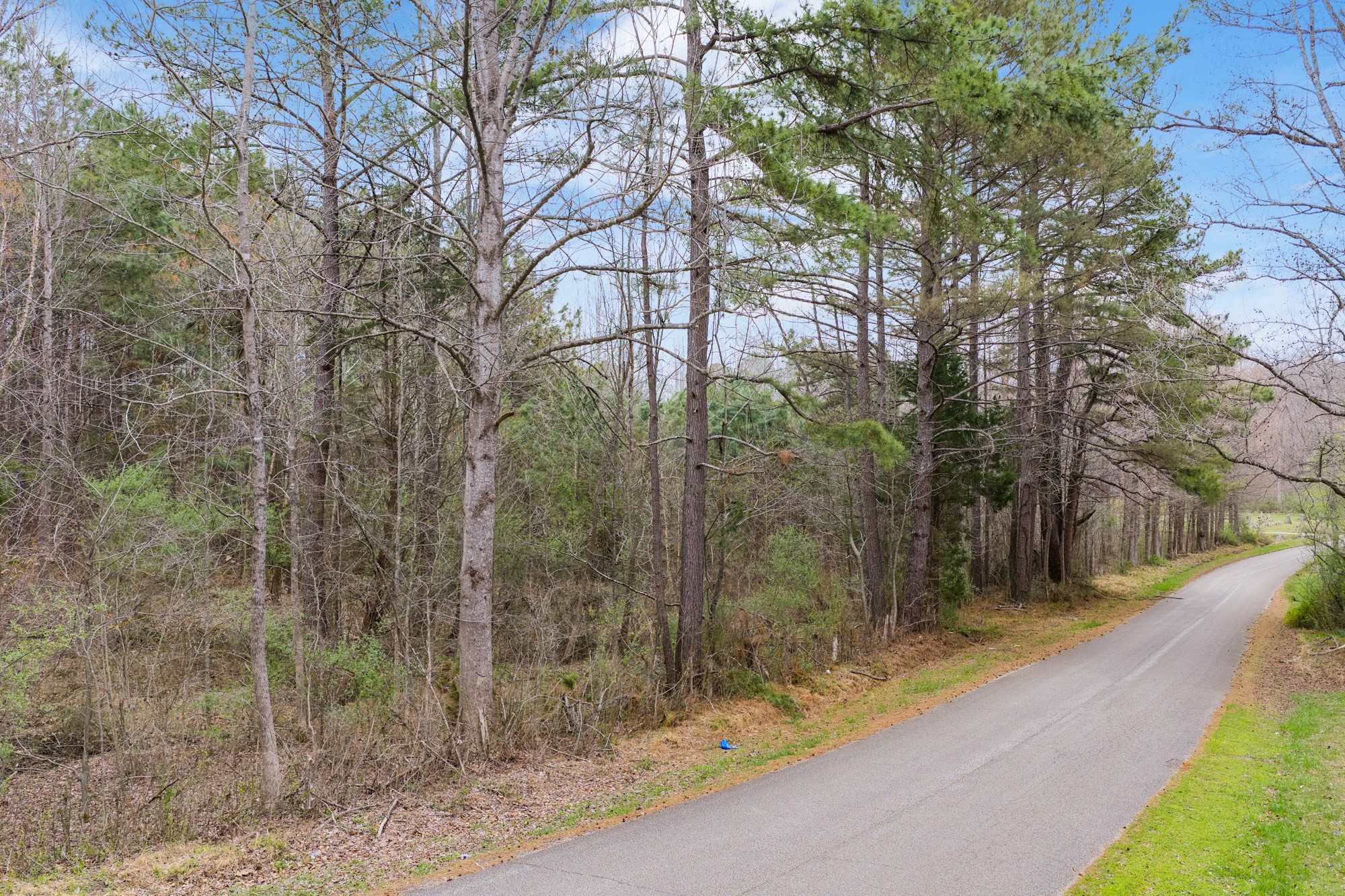 0 Pugh Road Holladay, TN 38341 - Photo 17 of 17