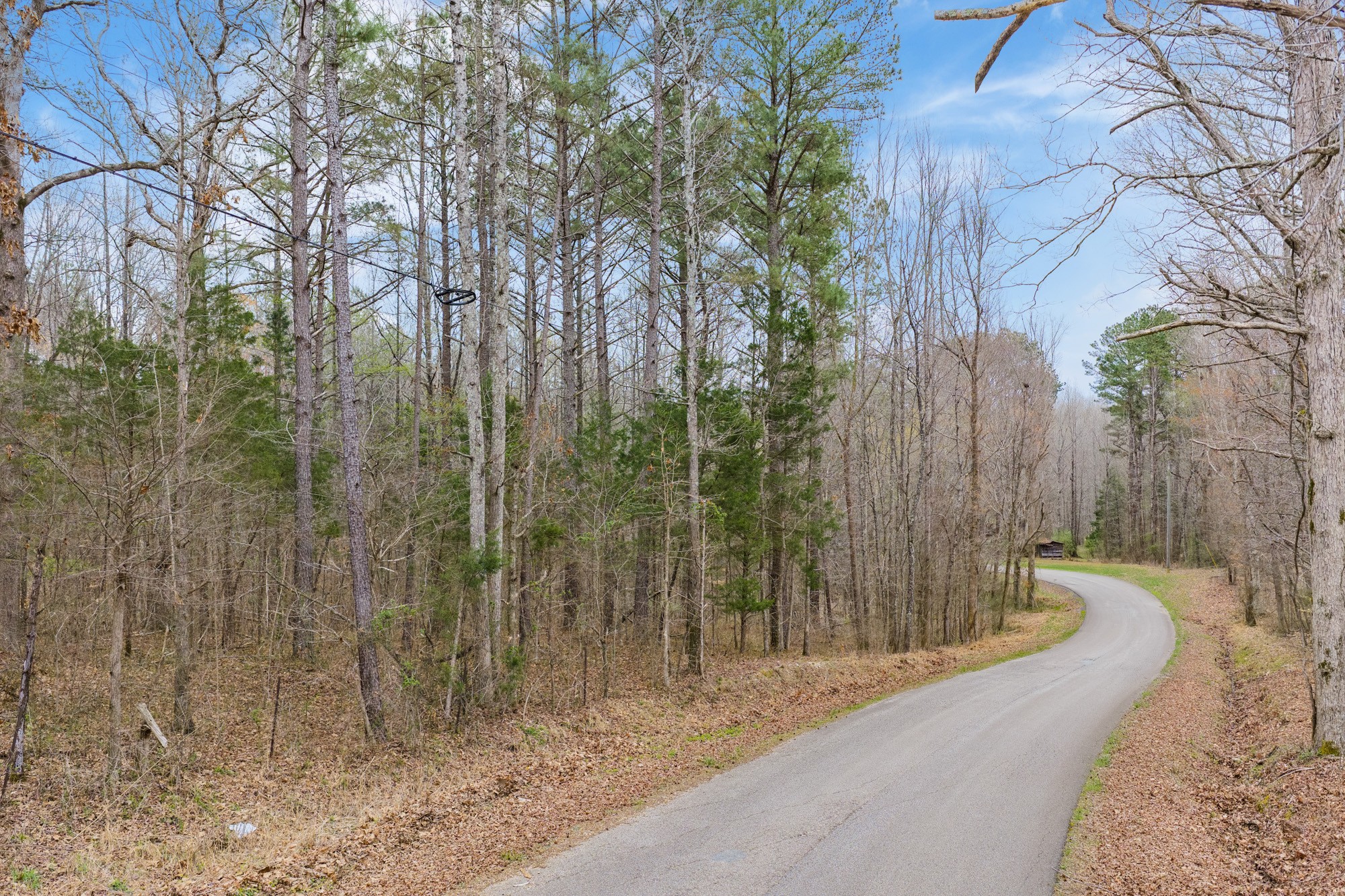 0 Pugh Road Holladay, TN 38341 - Photo 2 of 17