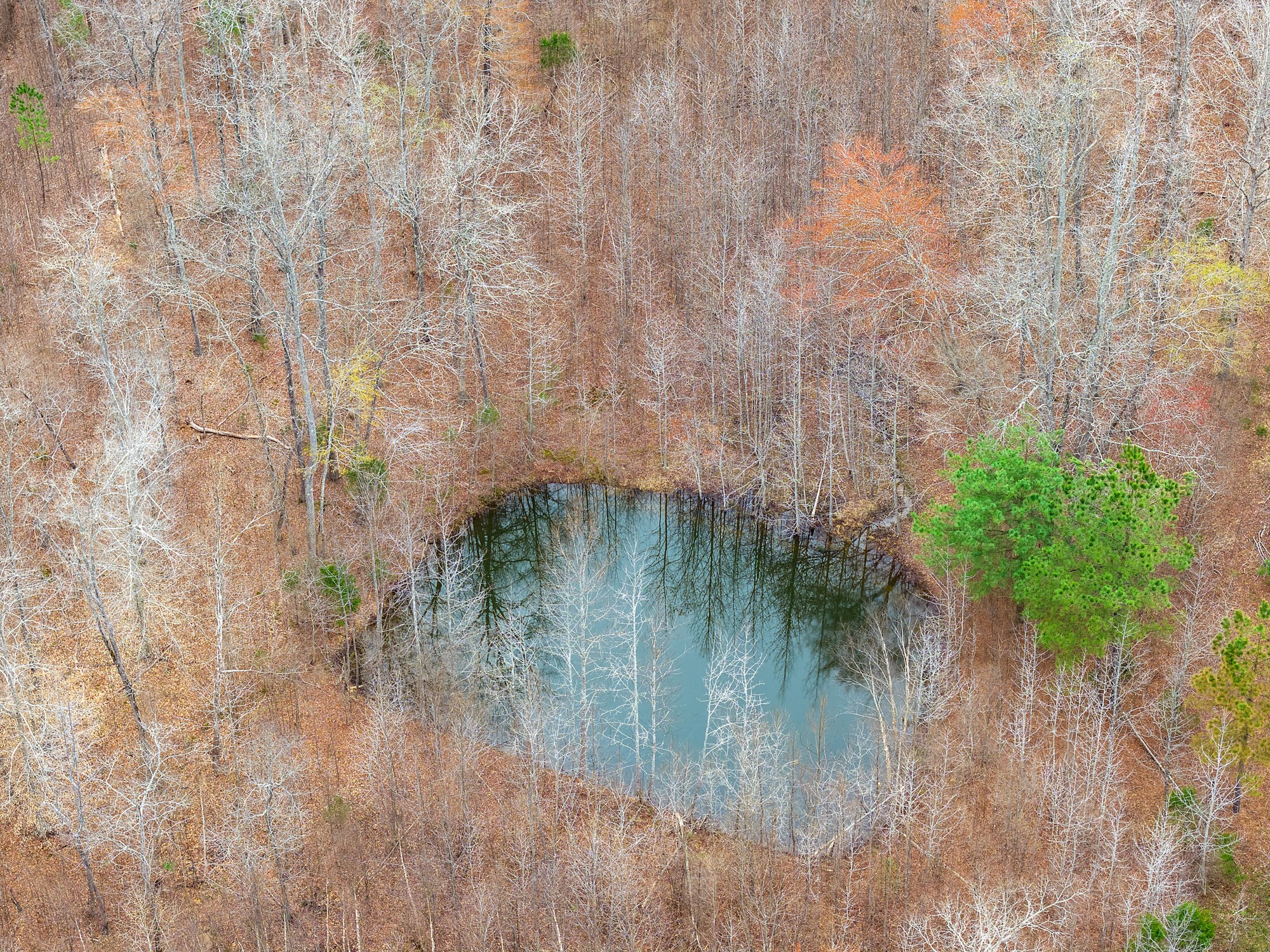 0 Pugh Road Holladay, TN 38341 - Photo 3 of 17