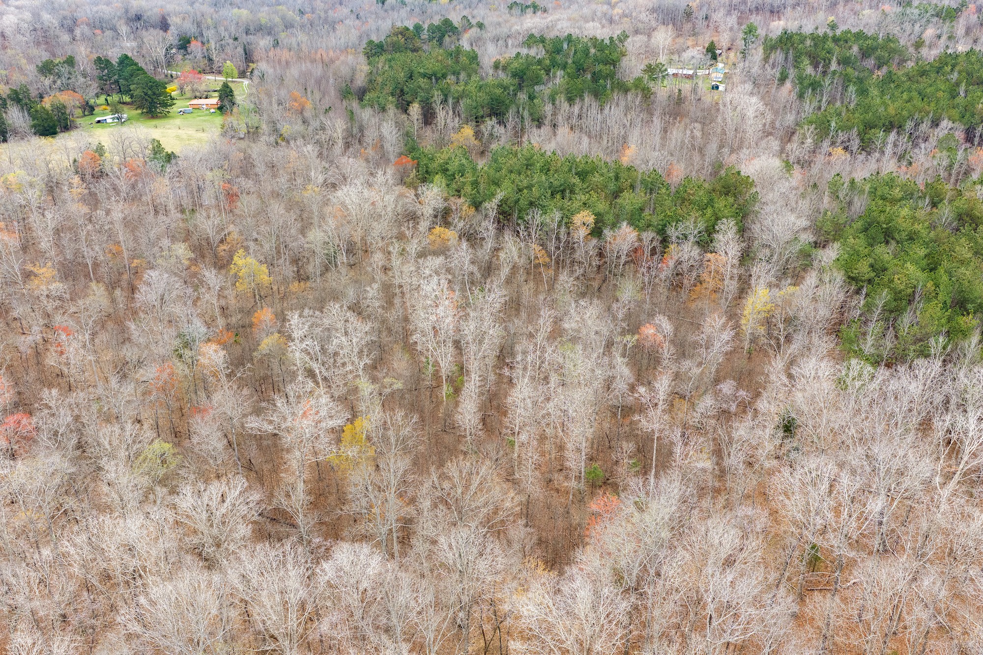 0 Pugh Road Holladay, TN 38341 - Photo 6 of 17