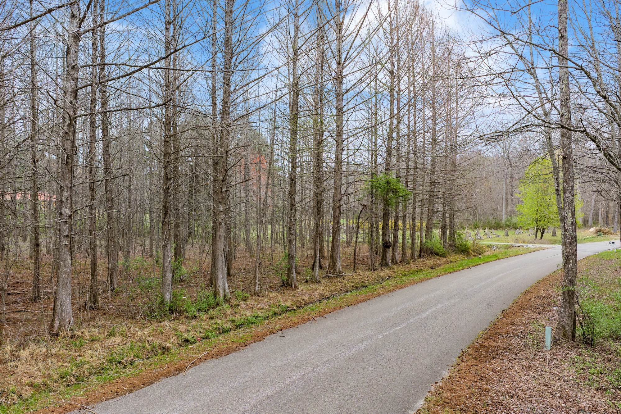 0 Pugh Road Holladay, TN 38341 - Photo 7 of 17