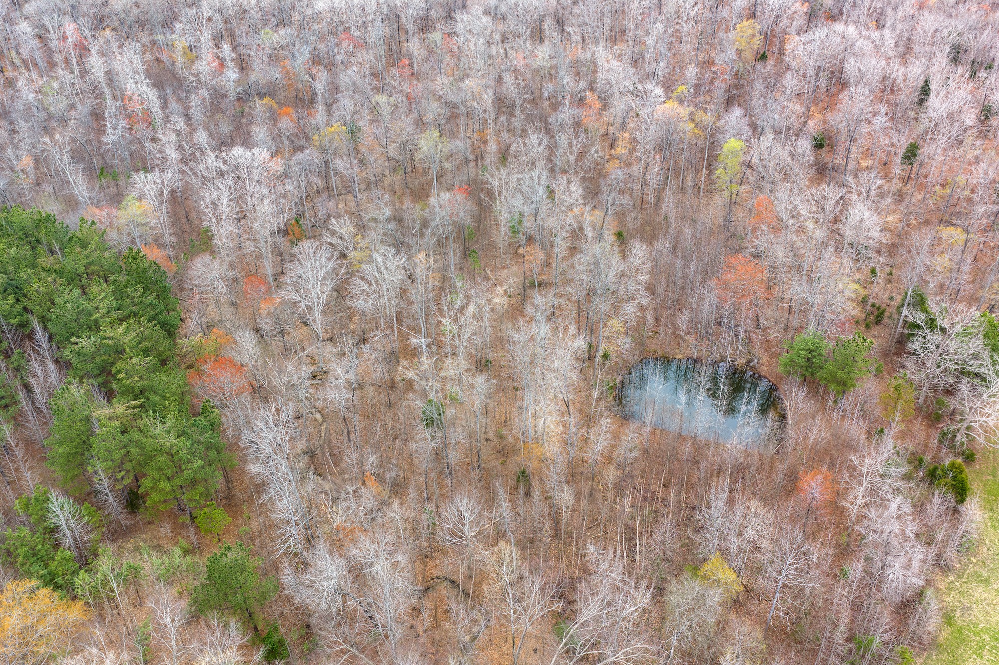 0 Pugh Road Holladay, TN 38341 - Photo 8 of 17