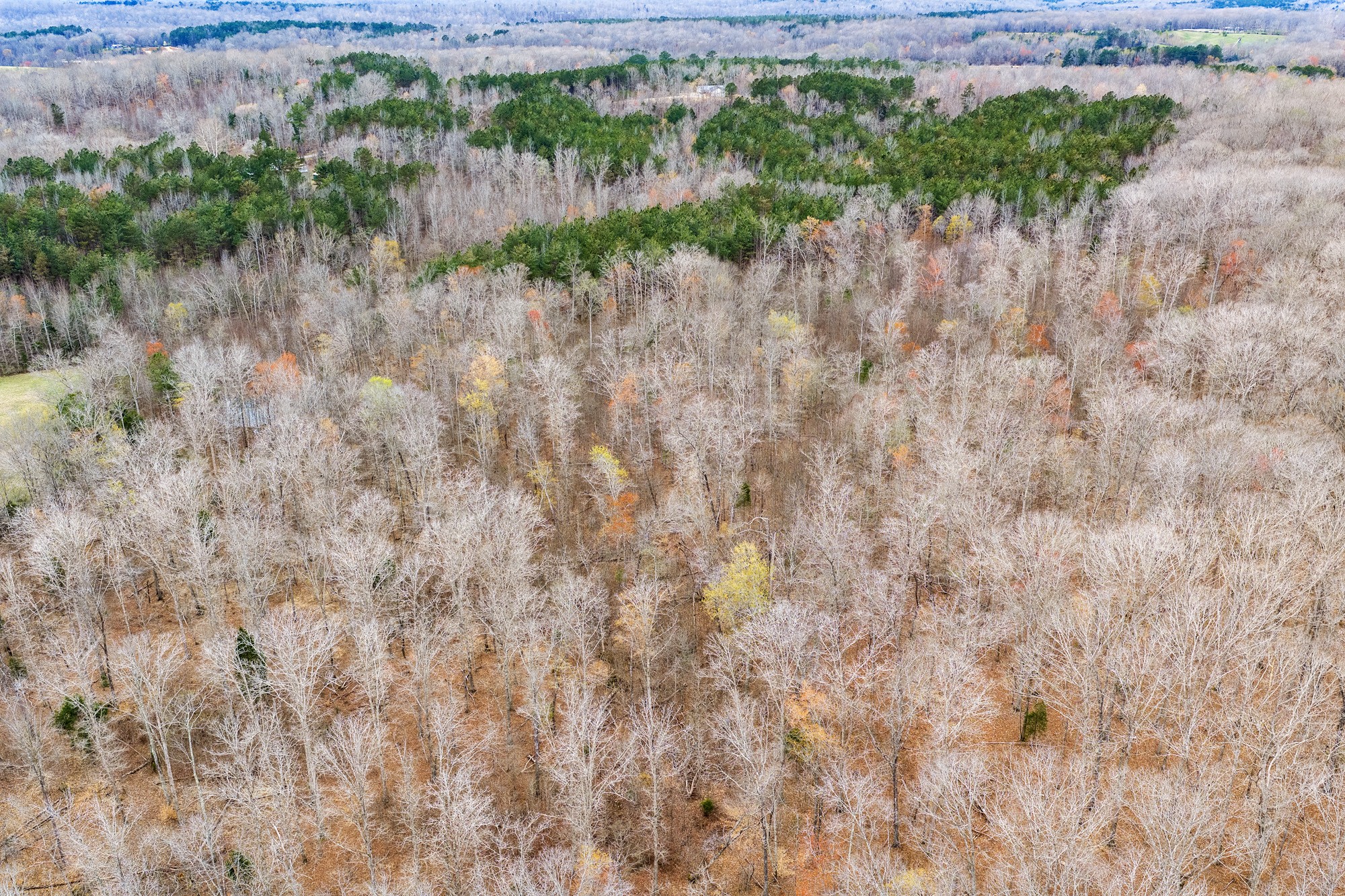 0 Pugh Road Holladay, TN 38341 - Photo 9 of 17