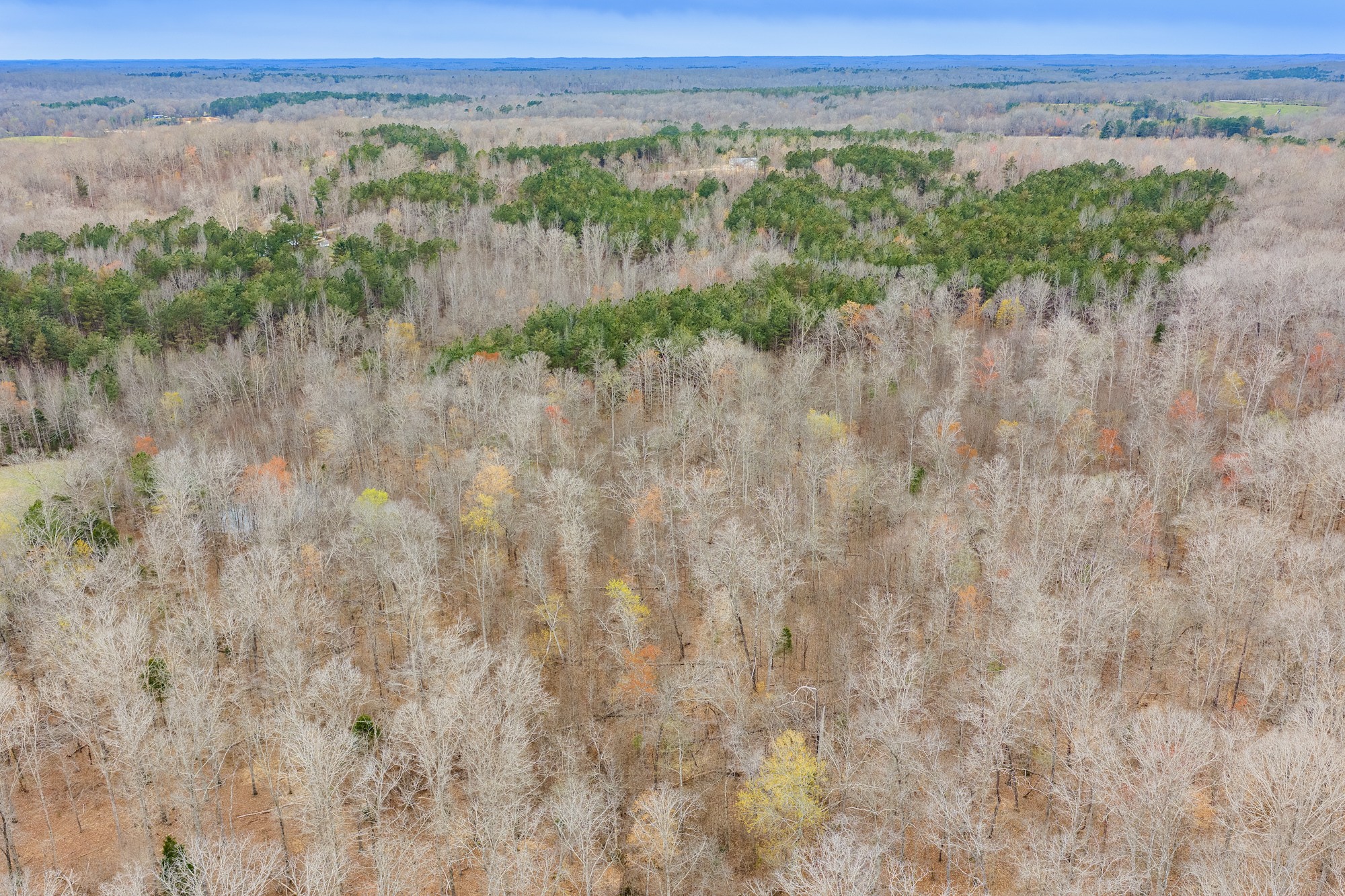 0 Pugh Road Holladay, TN 38341 - Photo 10 of 17