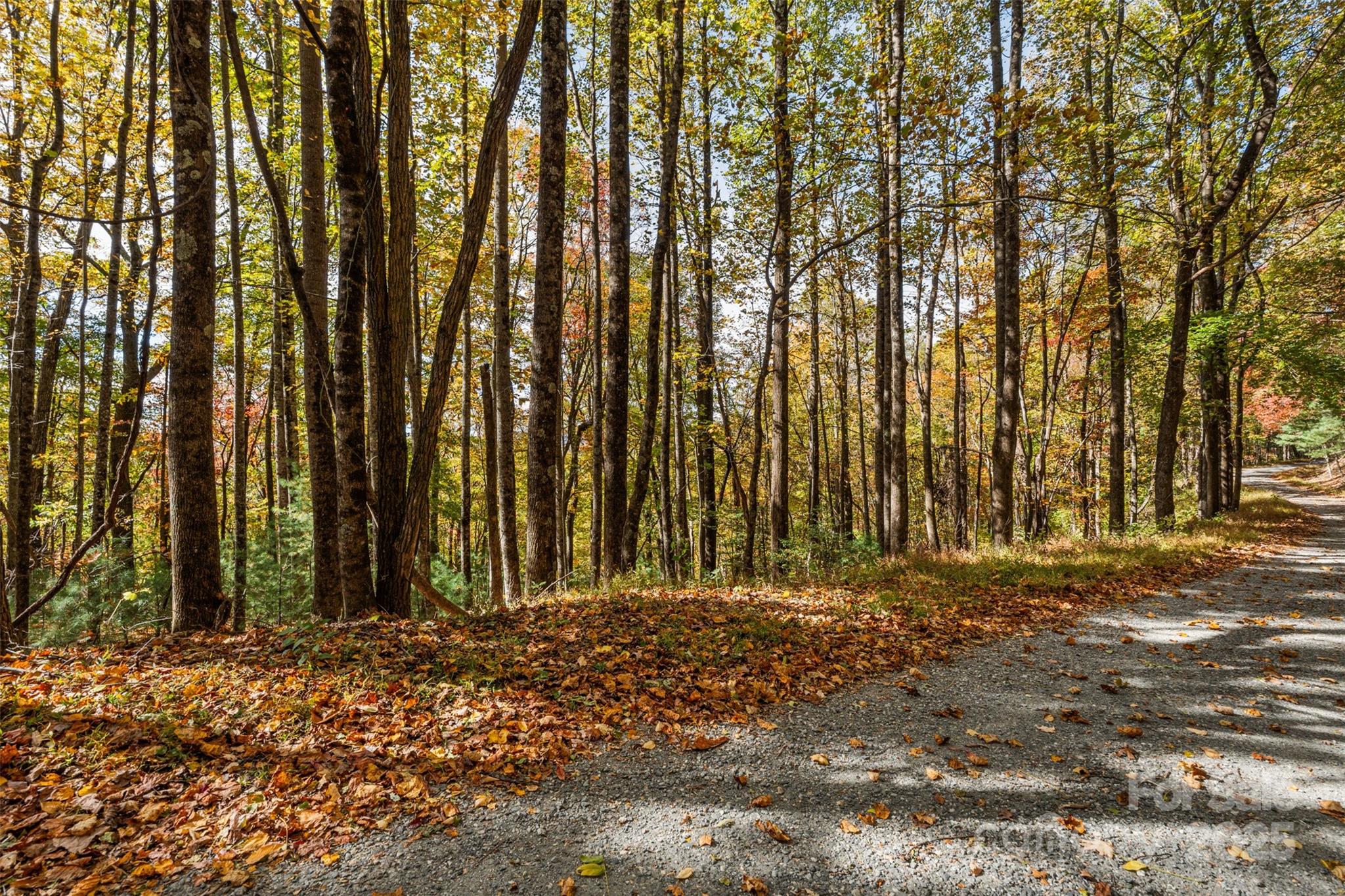 Lot 24 Ben Miller Road, Unit 24 Deep Gap, NC 28618 - Photo 1 of 18 a view of outdoor space with deck