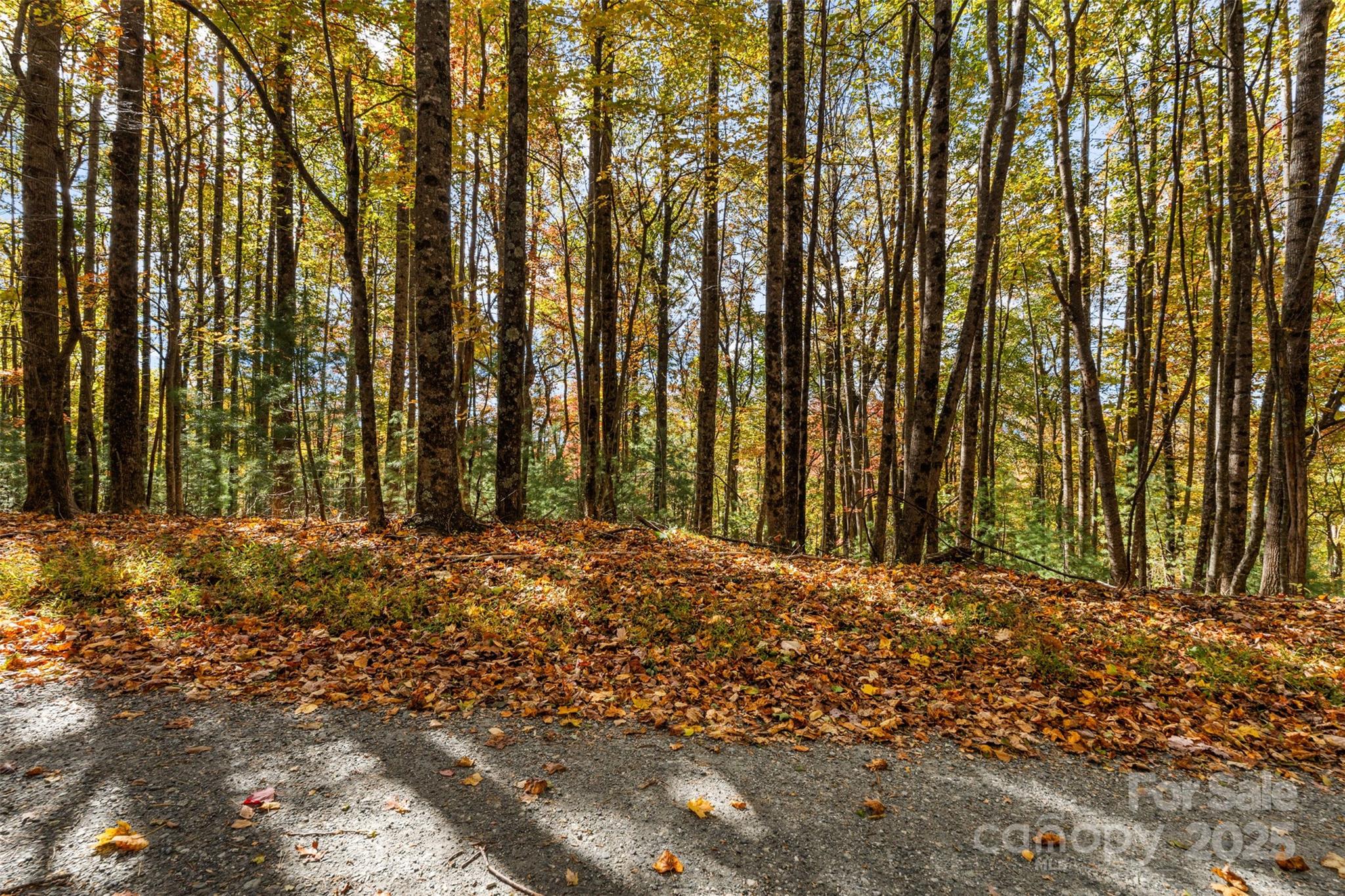 Lot 24 Ben Miller Road, Unit 24 Deep Gap, NC 28618 - Photo 15 of 18