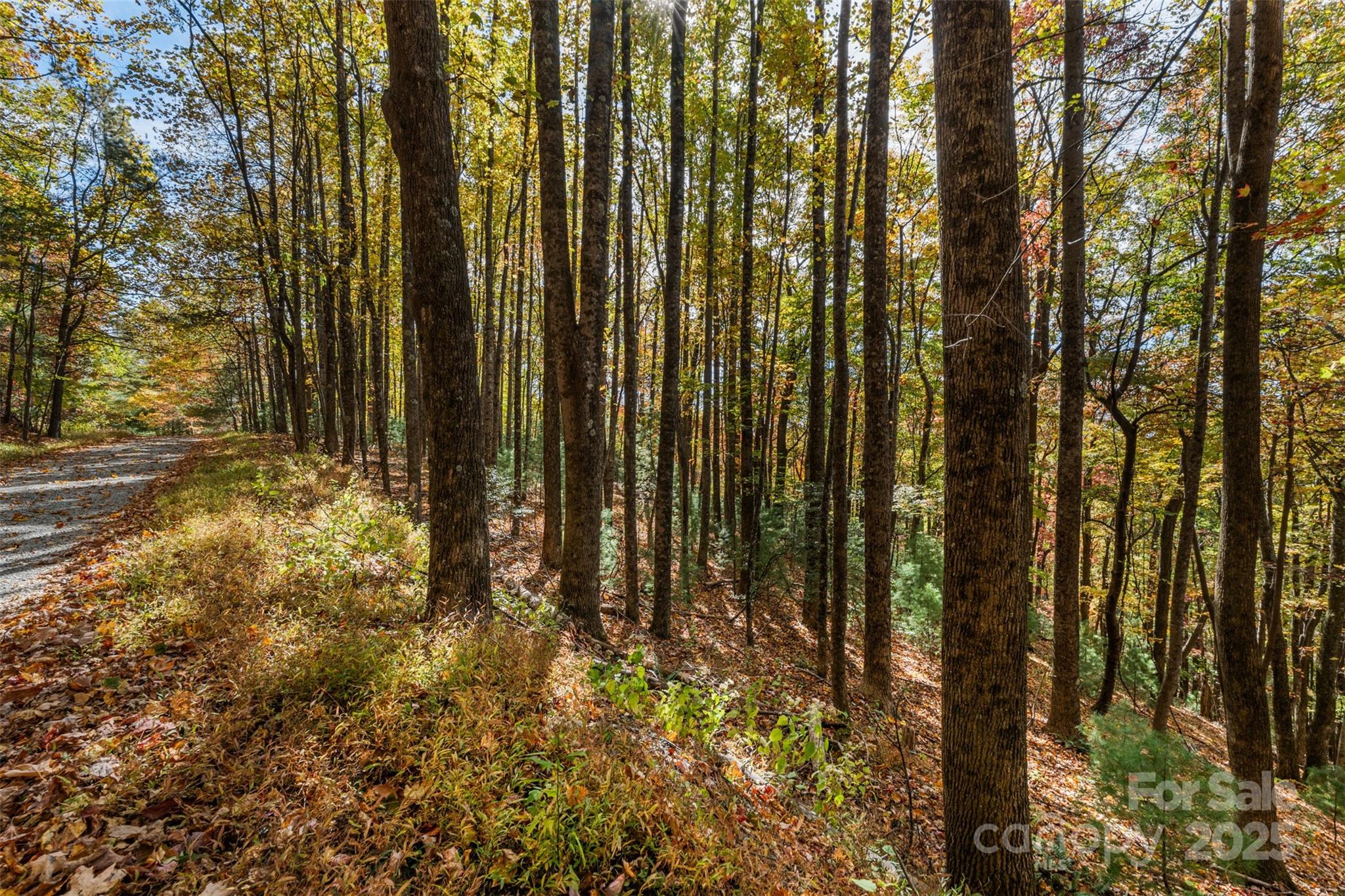 Lot 24 Ben Miller Road, Unit 24 Deep Gap, NC 28618 - Photo 16 of 18