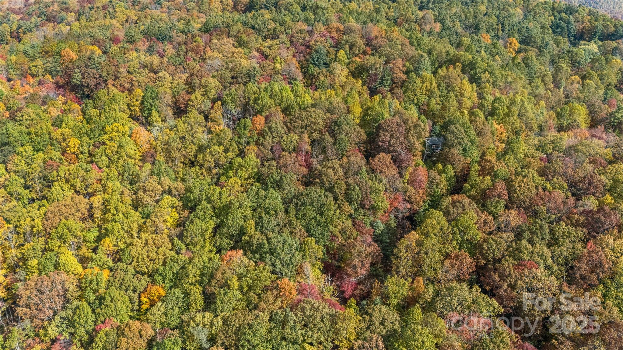 Lot 24 Ben Miller Road, Unit 24 Deep Gap, NC 28618 - Photo 17 of 18