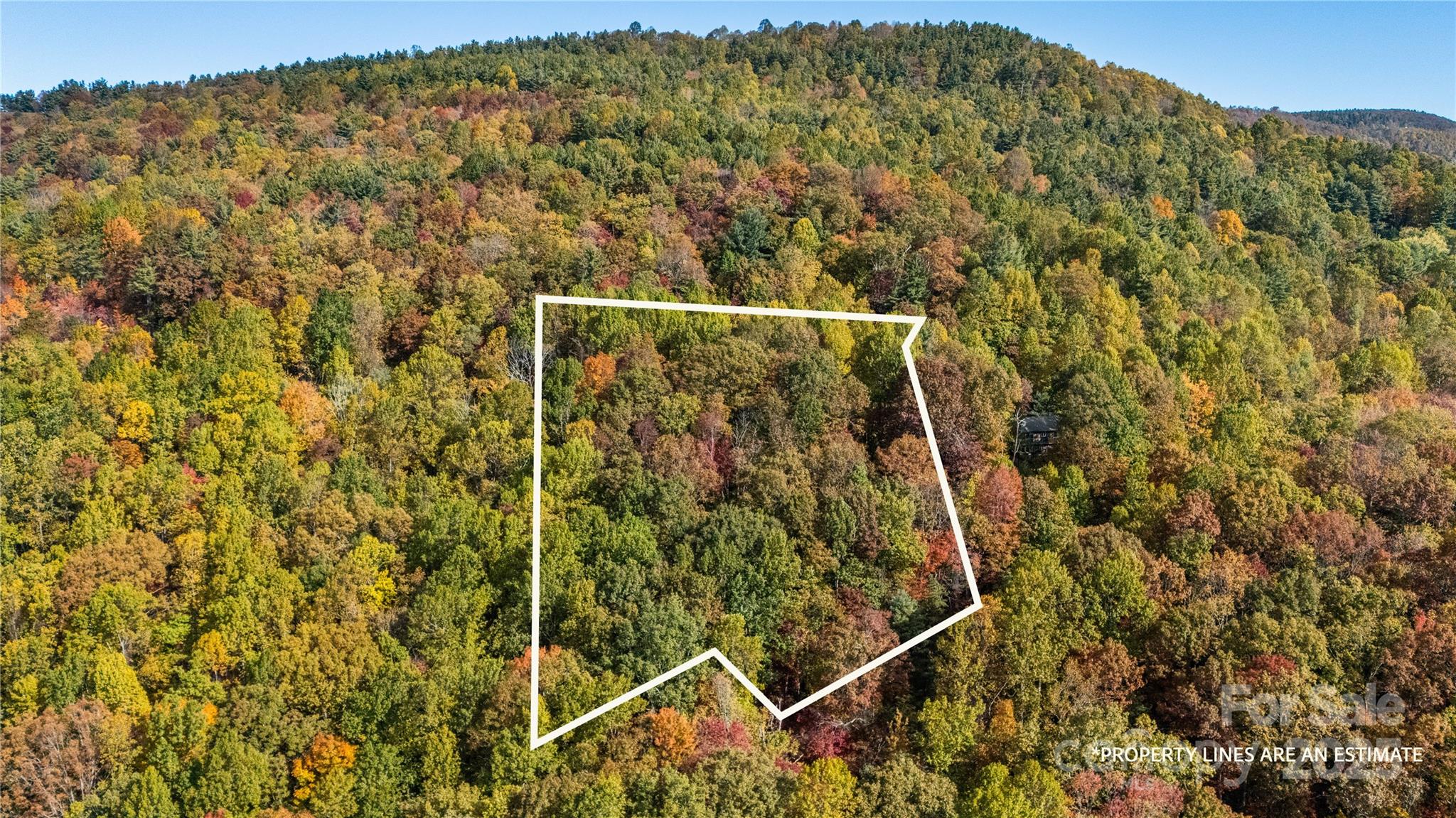 Lot 24 Ben Miller Road, Unit 24 Deep Gap, NC 28618 - Photo 4 of 18