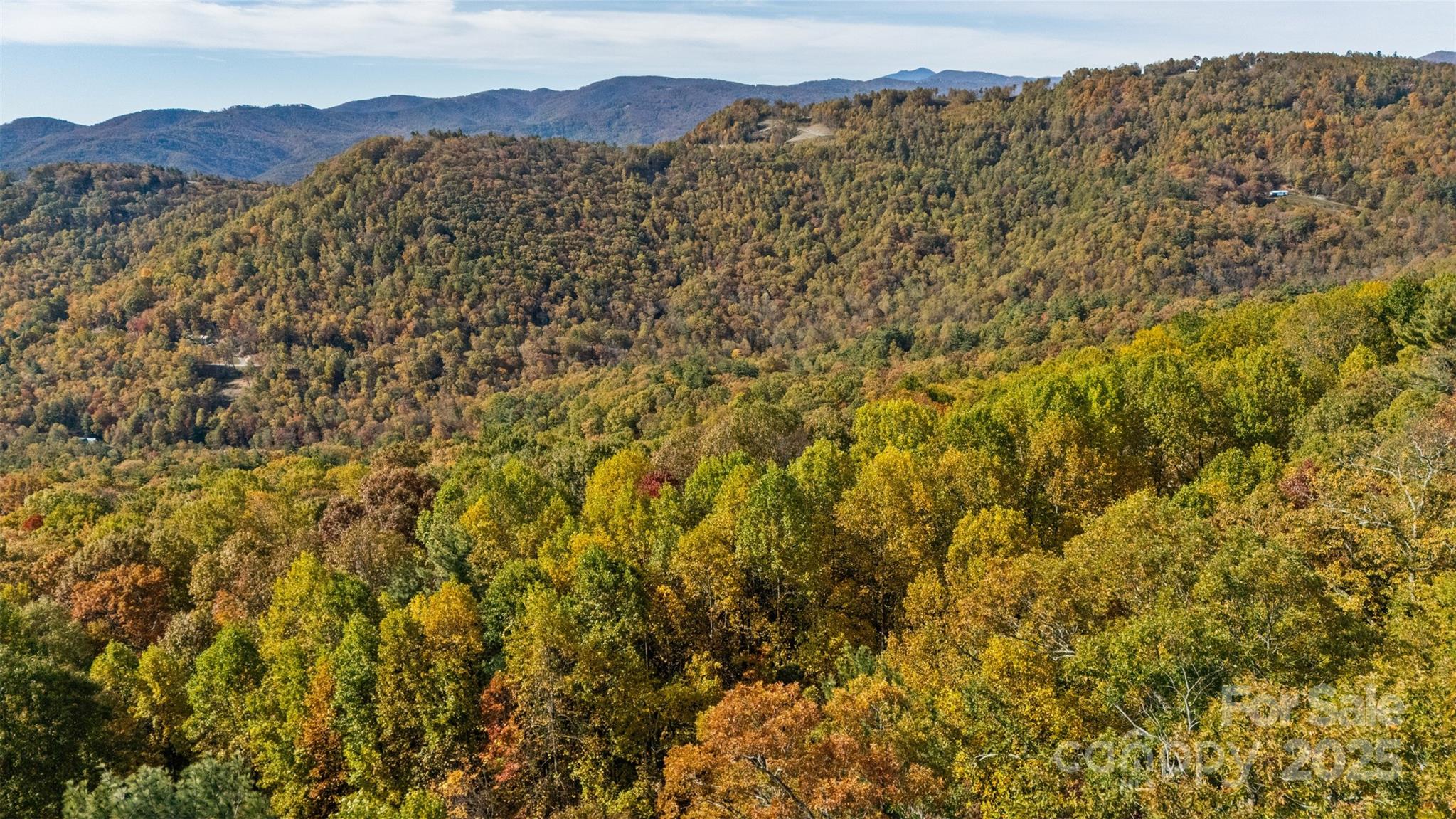 Lot 24 Ben Miller Road, Unit 24 Deep Gap, NC 28618 - Photo 5 of 18 a view of a large tree with a mountain in the background