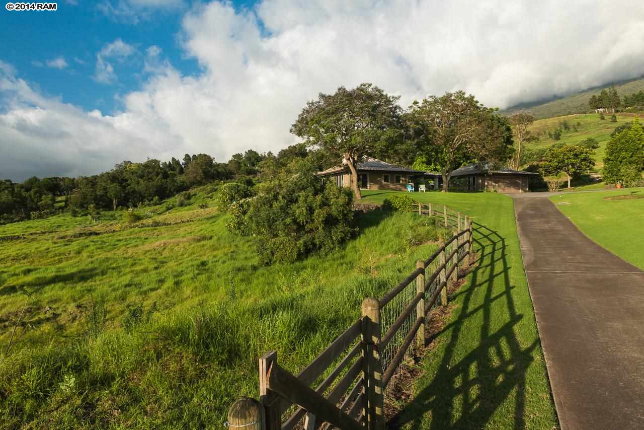 8037 Kula Highway Kula, HI 96790 - Photo 23 of 30 a view of a yard with plants and large trees
