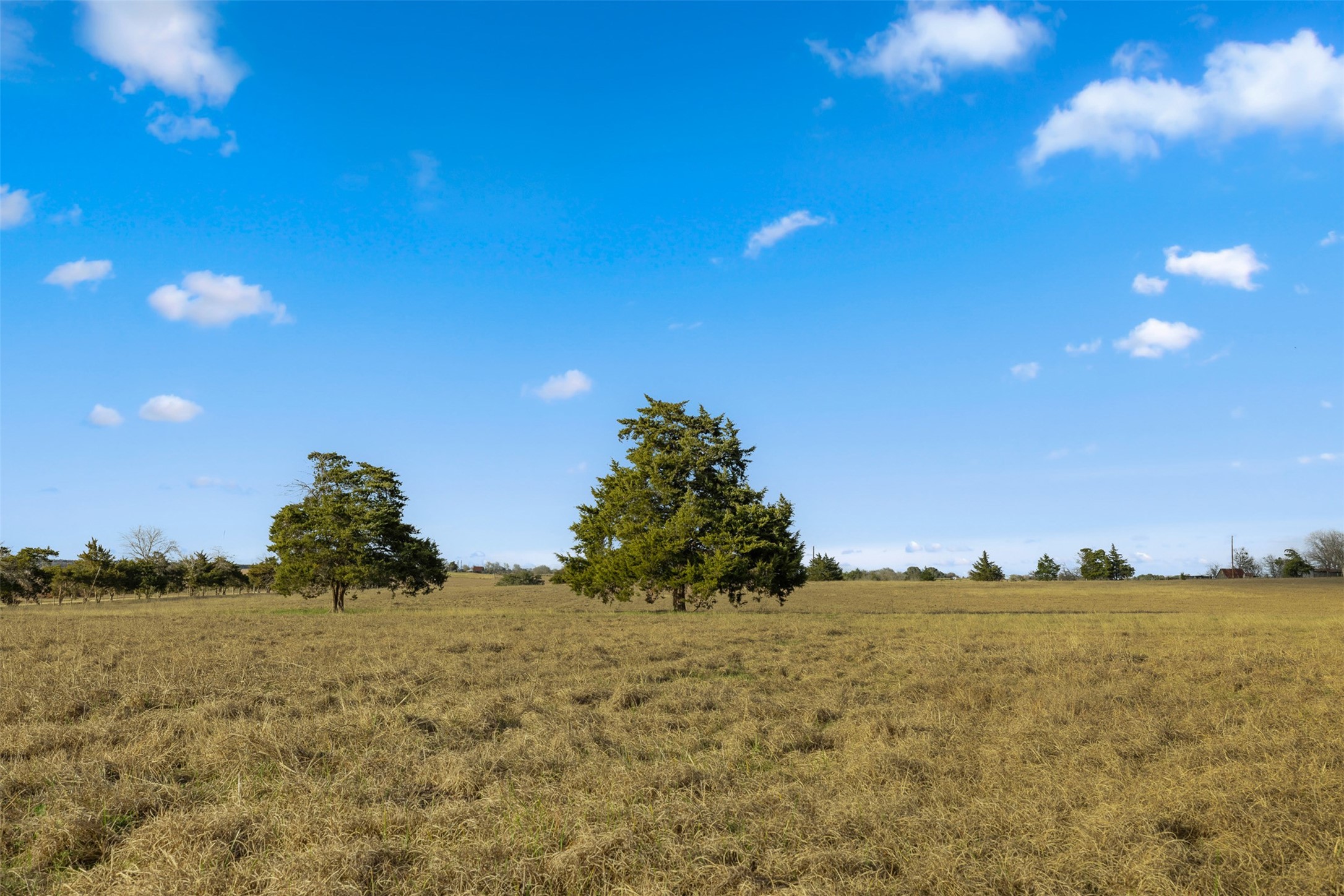 2346 Bruno Road Schulenburg, TX 78956 - Photo 35 of 49