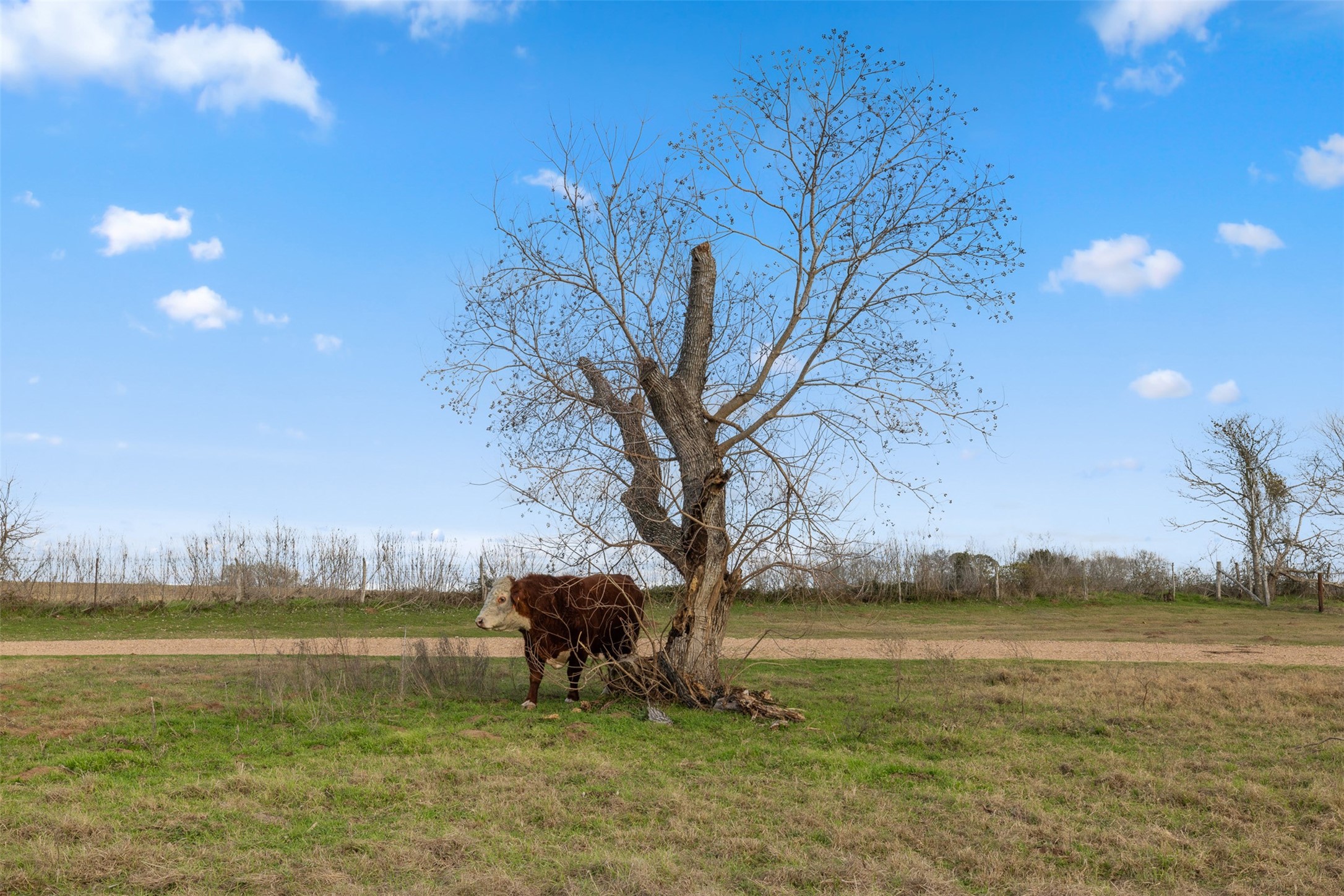 2346 Bruno Road Schulenburg, TX 78956 - Photo 36 of 49 a view of lake with table and chairs