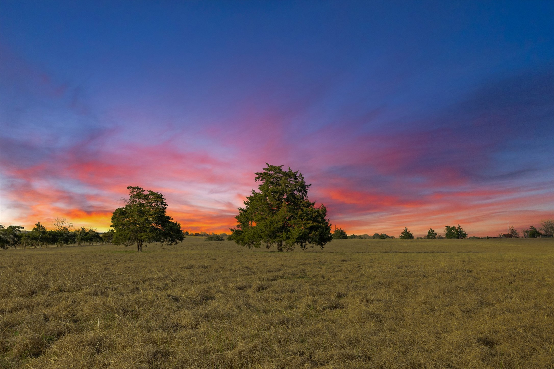 2346 Bruno Road Schulenburg, TX 78956 - Photo 46 of 49