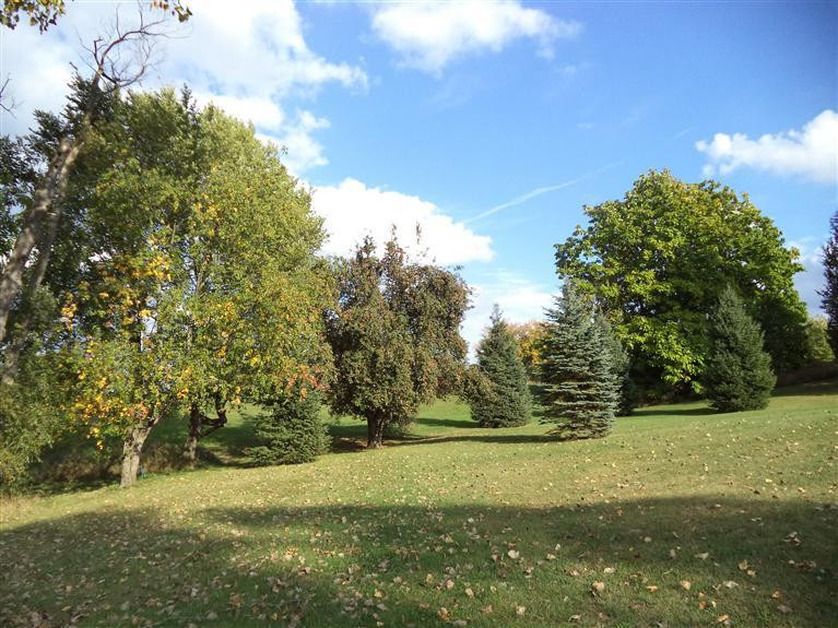 0 Lingane Road Chelsea, MI 48118 - Photo 1 of 9 Photo 1