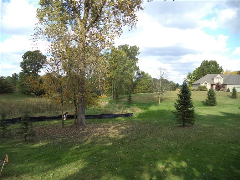 0 Lingane Road Chelsea, MI 48118 - Photo 4 of 9 Photo 4
