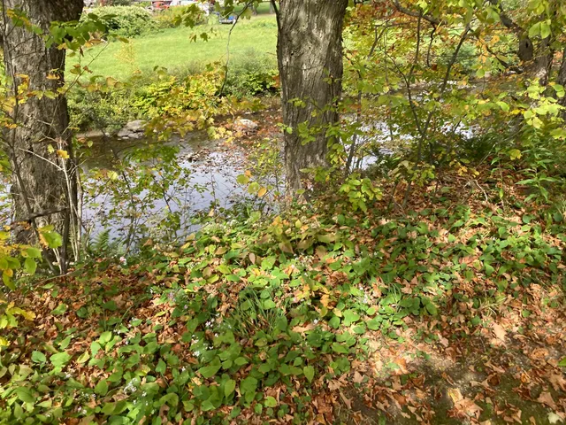 $299,000 | 8 Happy Haven Road, Wilmington, VT 05363