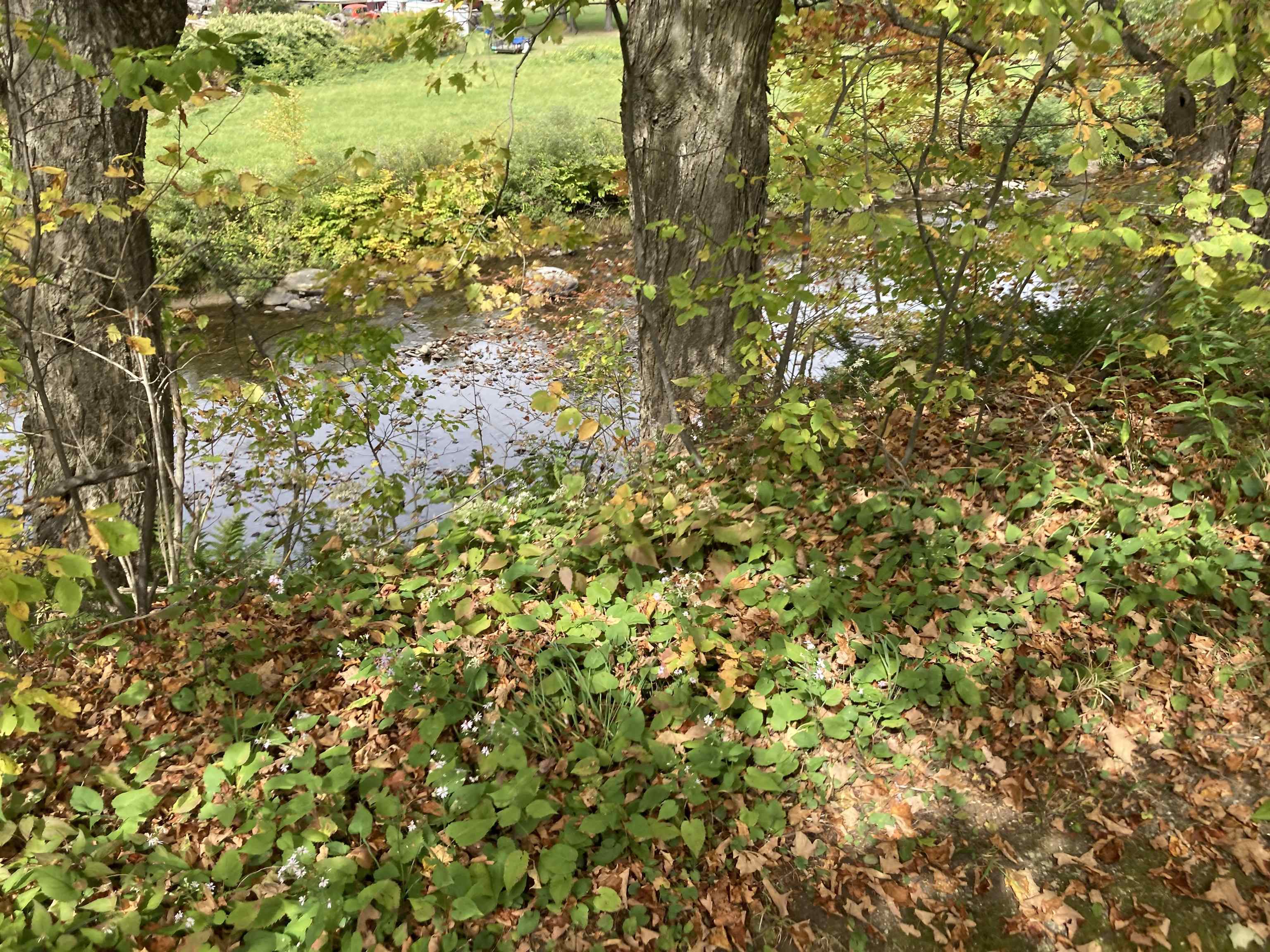 8 Happy Haven Road Wilmington, VT 05363 - Photo 6 of 14