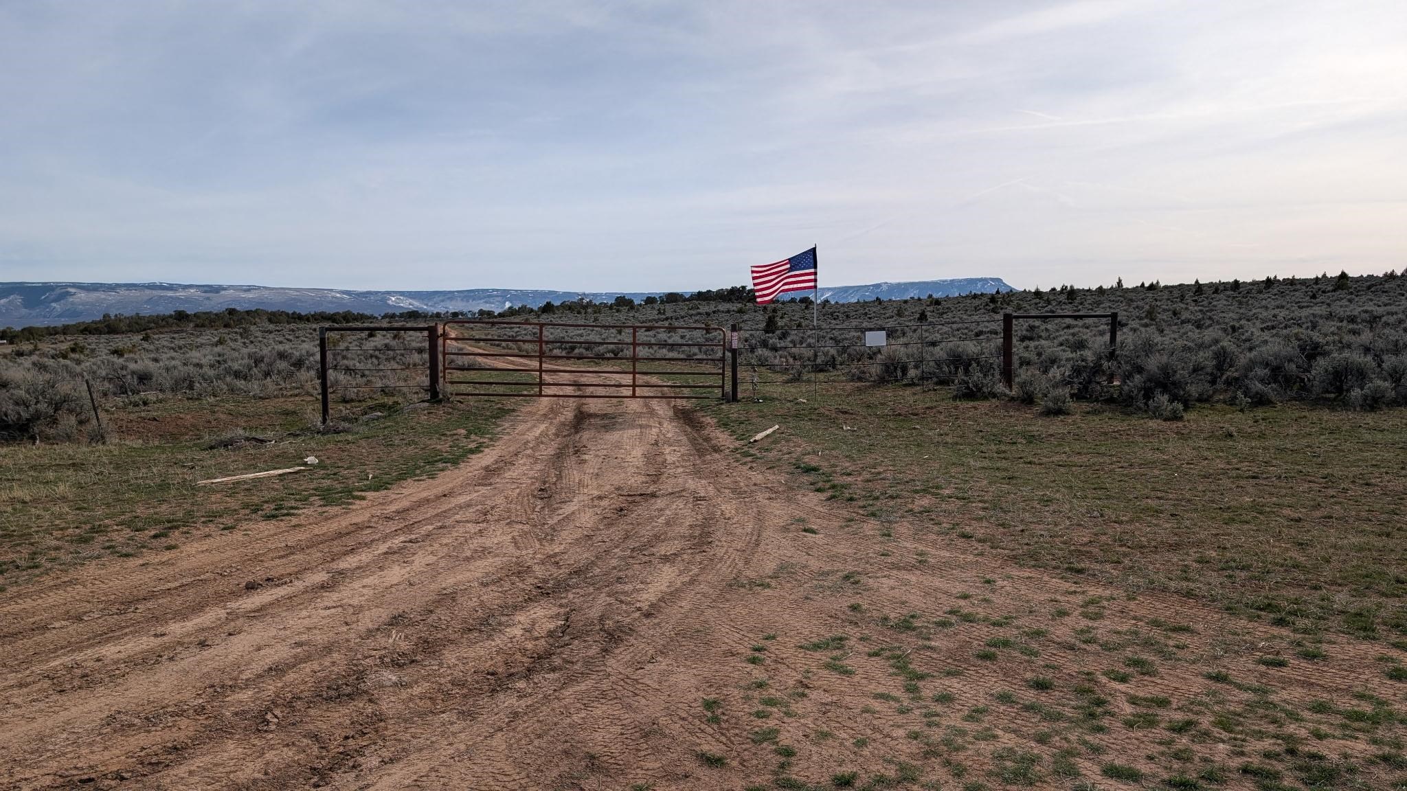 a view of a dry yard with wooden fence