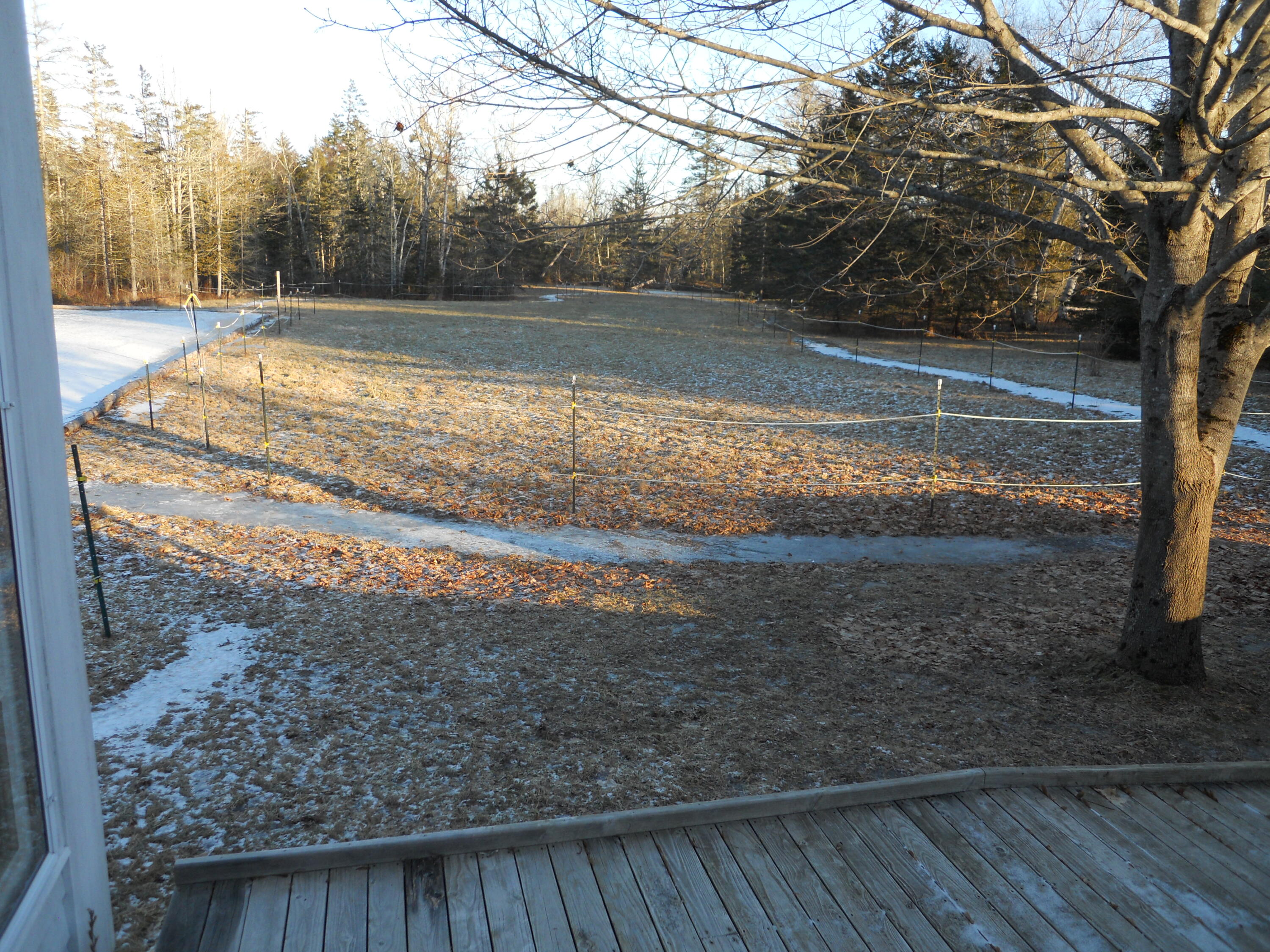 785 Main Road Islesboro, ME 04848 - Photo 16 of 73 WinterPastureDSCN9212