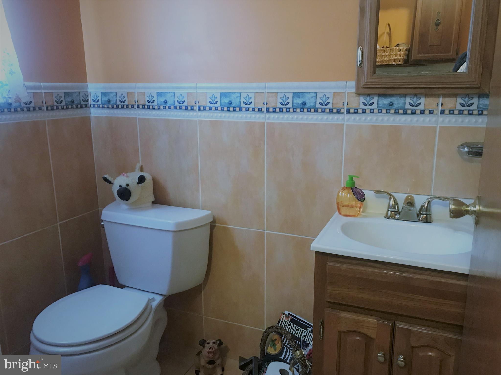 3 Heather Road Newark, DE 19702 - Photo 22 of 50 Powder room w custom Tile