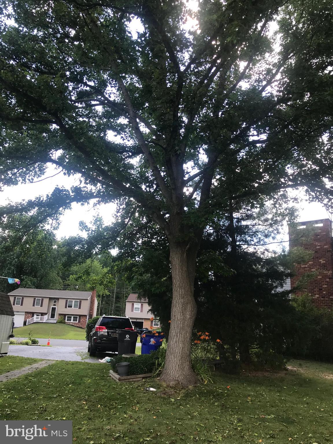 3 Heather Road Newark, DE 19702 - Photo 46 of 50 Nice mature trees for shade