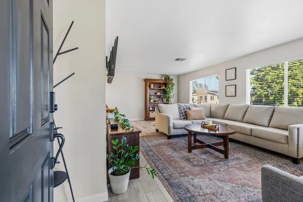 a living room with furniture and a potted plant