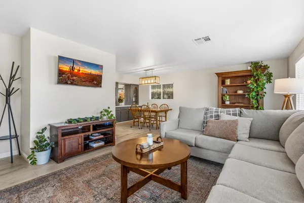 a living room with furniture a rug and a potted plant