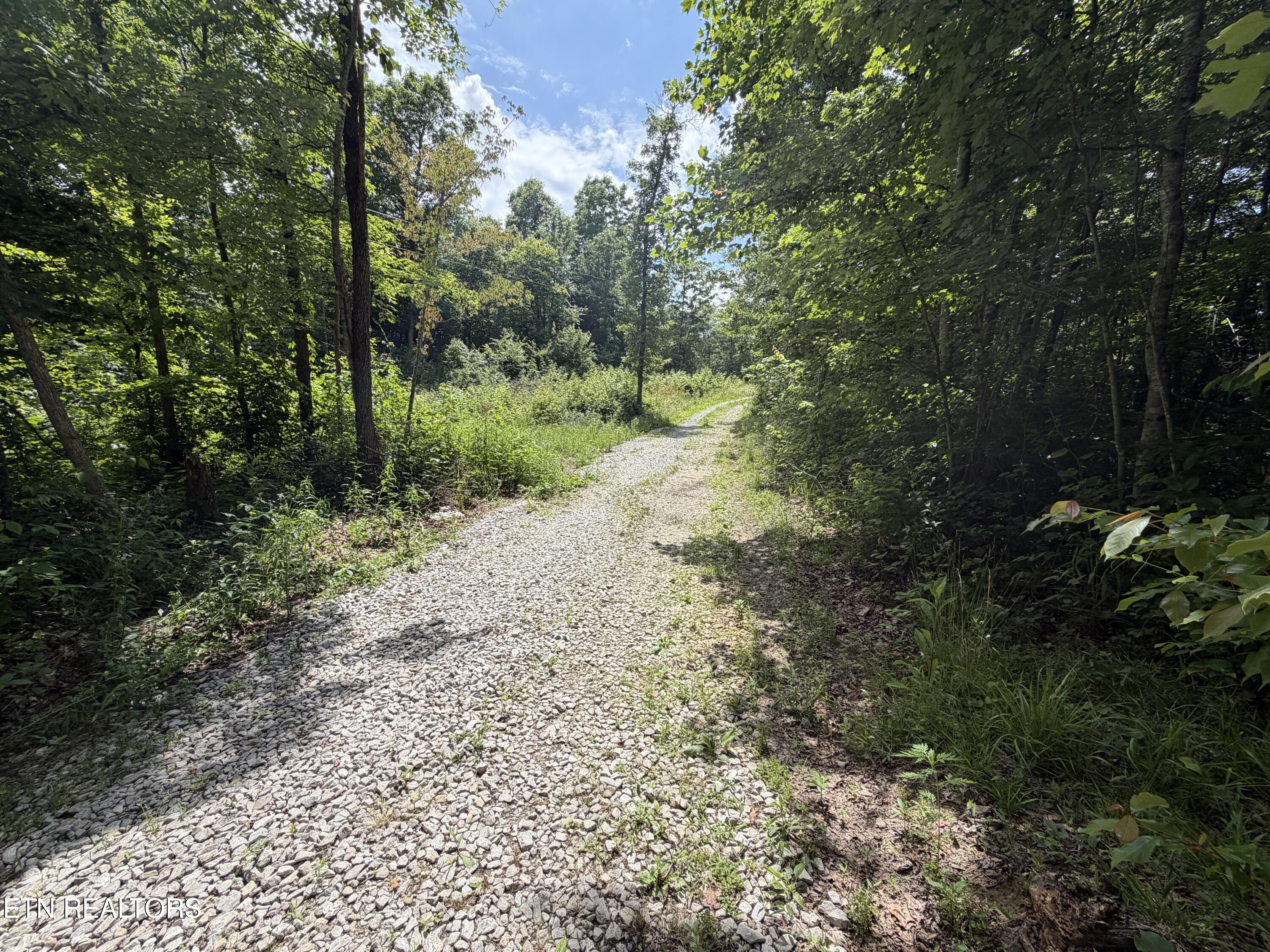 768 Remington Road Jamestown, TN 38556 - Photo 3 of 6 IMG_0481